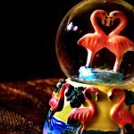 出典https://www.flickr.com/photos/dickuhne/76125222/