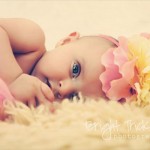 出典https://www.flickr.com/photos/48590810@N04/4766184681/in/photostream/